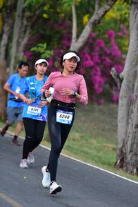 BIB: 6101, 6248
                            <button type="button" onclick="openModal(3319443)" class="btn btn-primary btn-sm float-right btn-popup" data-toggle="modal" data-target=".modal-high-quality">
                        <i class="fas fa-shopping-cart"></i> Add to Cart
                    </button>
                                            <button type="button" onclick="isThisMe(3319443, true)" class="btn btn-success btn-sm float-right btn-popup btn-isme hidden" data-toggle="tooltip" data-placement="bottom" title="นี่คือรูปของคุณใช่ไหม คลิกที่นี่เพื่อเอาเข้าอัลบั้ม">
                        <i class="fas fa-plus"></i> Add to album
                    </button>
                    <button type="button" onclick="isThisMe(3319443, false)" class="btn btn-warning btn-sm float-right btn-popup btn-isnotme hidden">
                        <i class="fas fa-ban"></i> Remove from album
                    </button>