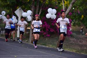 BIB: 
                            <button type="button" onclick="openModal(3326332)" class="btn btn-primary btn-sm float-right btn-popup" data-toggle="modal" data-target=".modal-high-quality">
                        <i class="fas fa-shopping-cart"></i> Add to Cart
                    </button>
                                            <button type="button" onclick="isThisMe(3326332, true)" class="btn btn-success btn-sm float-right btn-popup btn-isme hidden" data-toggle="tooltip" data-placement="bottom" title="นี่คือรูปของคุณใช่ไหม คลิกที่นี่เพื่อเอาเข้าอัลบั้ม">
                        <i class="fas fa-plus"></i> Add to album
                    </button>
                    <button type="button" onclick="isThisMe(3326332, false)" class="btn btn-warning btn-sm float-right btn-popup btn-isnotme hidden">
                        <i class="fas fa-ban"></i> Remove from album
                    </button>