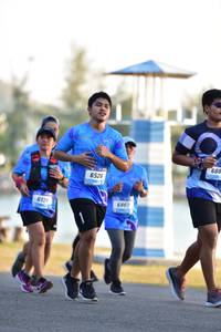 BIB: 688, 6526, 6136, 6867
                            <button type="button" onclick="openModal(3230605)" class="btn btn-primary btn-sm float-right btn-popup" data-toggle="modal" data-target=".modal-high-quality">
                        <i class="fas fa-shopping-cart"></i> Add to Cart
                    </button>
                                            <button type="button" onclick="isThisMe(3230605, true)" class="btn btn-success btn-sm float-right btn-popup btn-isme hidden" data-toggle="tooltip" data-placement="bottom" title="นี่คือรูปของคุณใช่ไหม คลิกที่นี่เพื่อเอาเข้าอัลบั้ม">
                        <i class="fas fa-plus"></i> Add to album
                    </button>
                    <button type="button" onclick="isThisMe(3230605, false)" class="btn btn-warning btn-sm float-right btn-popup btn-isnotme hidden">
                        <i class="fas fa-ban"></i> Remove from album
                    </button>