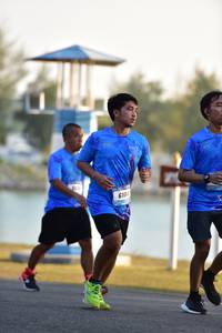 BIB: 
                            <button type="button" onclick="openModal(3234886)" class="btn btn-primary btn-sm float-right btn-popup" data-toggle="modal" data-target=".modal-high-quality">
                        <i class="fas fa-shopping-cart"></i> Add to Cart
                    </button>
                                            <button type="button" onclick="isThisMe(3234886, true)" class="btn btn-success btn-sm float-right btn-popup btn-isme hidden" data-toggle="tooltip" data-placement="bottom" title="นี่คือรูปของคุณใช่ไหม คลิกที่นี่เพื่อเอาเข้าอัลบั้ม">
                        <i class="fas fa-plus"></i> Add to album
                    </button>
                    <button type="button" onclick="isThisMe(3234886, false)" class="btn btn-warning btn-sm float-right btn-popup btn-isnotme hidden">
                        <i class="fas fa-ban"></i> Remove from album
                    </button>