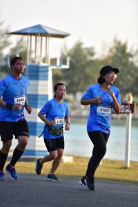 BIB: 6400, 6183, 6149
                            <button type="button" onclick="openModal(3229978)" class="btn btn-primary btn-sm float-right btn-popup" data-toggle="modal" data-target=".modal-high-quality">
                        <i class="fas fa-shopping-cart"></i> Add to Cart
                    </button>
                                            <button type="button" onclick="isThisMe(3229978, true)" class="btn btn-success btn-sm float-right btn-popup btn-isme hidden" data-toggle="tooltip" data-placement="bottom" title="นี่คือรูปของคุณใช่ไหม คลิกที่นี่เพื่อเอาเข้าอัลบั้ม">
                        <i class="fas fa-plus"></i> Add to album
                    </button>
                    <button type="button" onclick="isThisMe(3229978, false)" class="btn btn-warning btn-sm float-right btn-popup btn-isnotme hidden">
                        <i class="fas fa-ban"></i> Remove from album
                    </button>