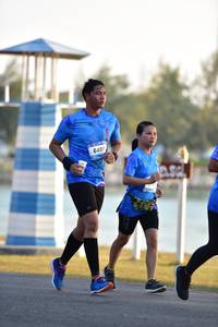 BIB: 
                            <button type="button" onclick="openModal(3229995)" class="btn btn-primary btn-sm float-right btn-popup" data-toggle="modal" data-target=".modal-high-quality">
                        <i class="fas fa-shopping-cart"></i> Add to Cart
                    </button>
                                            <button type="button" onclick="isThisMe(3229995, true)" class="btn btn-success btn-sm float-right btn-popup btn-isme hidden" data-toggle="tooltip" data-placement="bottom" title="นี่คือรูปของคุณใช่ไหม คลิกที่นี่เพื่อเอาเข้าอัลบั้ม">
                        <i class="fas fa-plus"></i> Add to album
                    </button>
                    <button type="button" onclick="isThisMe(3229995, false)" class="btn btn-warning btn-sm float-right btn-popup btn-isnotme hidden">
                        <i class="fas fa-ban"></i> Remove from album
                    </button>