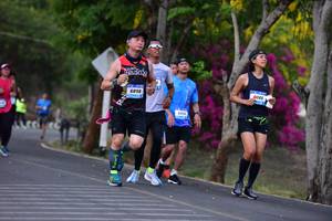 BIB: 9088, 6898
                            <button type="button" onclick="openModal(3325360)" class="btn btn-primary btn-sm float-right btn-popup" data-toggle="modal" data-target=".modal-high-quality">
                        <i class="fas fa-shopping-cart"></i> Add to Cart
                    </button>
                                            <button type="button" onclick="isThisMe(3325360, true)" class="btn btn-success btn-sm float-right btn-popup btn-isme hidden" data-toggle="tooltip" data-placement="bottom" title="นี่คือรูปของคุณใช่ไหม คลิกที่นี่เพื่อเอาเข้าอัลบั้ม">
                        <i class="fas fa-plus"></i> Add to album
                    </button>
                    <button type="button" onclick="isThisMe(3325360, false)" class="btn btn-warning btn-sm float-right btn-popup btn-isnotme hidden">
                        <i class="fas fa-ban"></i> Remove from album
                    </button>