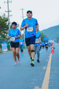 BIB: 8642, 8041, 6495
                            <button type="button" onclick="openModal(3274364)" class="btn btn-primary btn-sm float-right btn-popup" data-toggle="modal" data-target=".modal-high-quality">
                        <i class="fas fa-shopping-cart"></i> Add to Cart
                    </button>
                                            <button type="button" onclick="isThisMe(3274364, true)" class="btn btn-success btn-sm float-right btn-popup btn-isme hidden" data-toggle="tooltip" data-placement="bottom" title="นี่คือรูปของคุณใช่ไหม คลิกที่นี่เพื่อเอาเข้าอัลบั้ม">
                        <i class="fas fa-plus"></i> Add to album
                    </button>
                    <button type="button" onclick="isThisMe(3274364, false)" class="btn btn-warning btn-sm float-right btn-popup btn-isnotme hidden">
                        <i class="fas fa-ban"></i> Remove from album
                    </button>