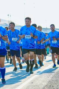 BIB: 6460, 6122, 6527
                            <button type="button" onclick="openModal(3269593)" class="btn btn-primary btn-sm float-right btn-popup" data-toggle="modal" data-target=".modal-high-quality">
                        <i class="fas fa-shopping-cart"></i> Add to Cart
                    </button>
                                            <button type="button" onclick="isThisMe(3269593, true)" class="btn btn-success btn-sm float-right btn-popup btn-isme hidden" data-toggle="tooltip" data-placement="bottom" title="นี่คือรูปของคุณใช่ไหม คลิกที่นี่เพื่อเอาเข้าอัลบั้ม">
                        <i class="fas fa-plus"></i> Add to album
                    </button>
                    <button type="button" onclick="isThisMe(3269593, false)" class="btn btn-warning btn-sm float-right btn-popup btn-isnotme hidden">
                        <i class="fas fa-ban"></i> Remove from album
                    </button>