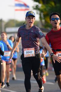 BIB: 9042
                            <button type="button" onclick="openModal(3187214)" class="btn btn-primary btn-sm float-right btn-popup" data-toggle="modal" data-target=".modal-high-quality">
                        <i class="fas fa-shopping-cart"></i> Add to Cart
                    </button>
                                            <button type="button" onclick="isThisMe(3187214, true)" class="btn btn-success btn-sm float-right btn-popup btn-isme hidden" data-toggle="tooltip" data-placement="bottom" title="นี่คือรูปของคุณใช่ไหม คลิกที่นี่เพื่อเอาเข้าอัลบั้ม">
                        <i class="fas fa-plus"></i> Add to album
                    </button>
                    <button type="button" onclick="isThisMe(3187214, false)" class="btn btn-warning btn-sm float-right btn-popup btn-isnotme hidden">
                        <i class="fas fa-ban"></i> Remove from album
                    </button>