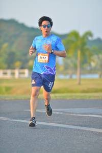 BIB: 9877
                            <button type="button" onclick="openModal(3264456)" class="btn btn-primary btn-sm float-right btn-popup" data-toggle="modal" data-target=".modal-high-quality">
                        <i class="fas fa-shopping-cart"></i> Add to Cart
                    </button>
                                            <button type="button" onclick="isThisMe(3264456, true)" class="btn btn-success btn-sm float-right btn-popup btn-isme hidden" data-toggle="tooltip" data-placement="bottom" title="นี่คือรูปของคุณใช่ไหม คลิกที่นี่เพื่อเอาเข้าอัลบั้ม">
                        <i class="fas fa-plus"></i> Add to album
                    </button>
                    <button type="button" onclick="isThisMe(3264456, false)" class="btn btn-warning btn-sm float-right btn-popup btn-isnotme hidden">
                        <i class="fas fa-ban"></i> Remove from album
                    </button>