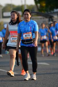 BIB: 8271, 8509
                            <button type="button" onclick="openModal(3187376)" class="btn btn-primary btn-sm float-right btn-popup" data-toggle="modal" data-target=".modal-high-quality">
                        <i class="fas fa-shopping-cart"></i> Add to Cart
                    </button>
                                            <button type="button" onclick="isThisMe(3187376, true)" class="btn btn-success btn-sm float-right btn-popup btn-isme hidden" data-toggle="tooltip" data-placement="bottom" title="นี่คือรูปของคุณใช่ไหม คลิกที่นี่เพื่อเอาเข้าอัลบั้ม">
                        <i class="fas fa-plus"></i> Add to album
                    </button>
                    <button type="button" onclick="isThisMe(3187376, false)" class="btn btn-warning btn-sm float-right btn-popup btn-isnotme hidden">
                        <i class="fas fa-ban"></i> Remove from album
                    </button>