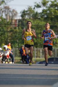 BIB: 6437
                            <button type="button" onclick="openModal(3211253)" class="btn btn-primary btn-sm float-right btn-popup" data-toggle="modal" data-target=".modal-high-quality">
                        <i class="fas fa-shopping-cart"></i> Add to Cart
                    </button>
                                            <button type="button" onclick="isThisMe(3211253, true)" class="btn btn-success btn-sm float-right btn-popup btn-isme hidden" data-toggle="tooltip" data-placement="bottom" title="นี่คือรูปของคุณใช่ไหม คลิกที่นี่เพื่อเอาเข้าอัลบั้ม">
                        <i class="fas fa-plus"></i> Add to album
                    </button>
                    <button type="button" onclick="isThisMe(3211253, false)" class="btn btn-warning btn-sm float-right btn-popup btn-isnotme hidden">
                        <i class="fas fa-ban"></i> Remove from album
                    </button>