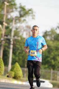 BIB: 9530
                            <button type="button" onclick="openModal(3215022)" class="btn btn-primary btn-sm float-right btn-popup" data-toggle="modal" data-target=".modal-high-quality">
                        <i class="fas fa-shopping-cart"></i> Add to Cart
                    </button>
                                            <button type="button" onclick="isThisMe(3215022, true)" class="btn btn-success btn-sm float-right btn-popup btn-isme hidden" data-toggle="tooltip" data-placement="bottom" title="นี่คือรูปของคุณใช่ไหม คลิกที่นี่เพื่อเอาเข้าอัลบั้ม">
                        <i class="fas fa-plus"></i> Add to album
                    </button>
                    <button type="button" onclick="isThisMe(3215022, false)" class="btn btn-warning btn-sm float-right btn-popup btn-isnotme hidden">
                        <i class="fas fa-ban"></i> Remove from album
                    </button>