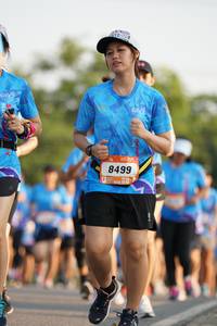 BIB: 8499
                            <button type="button" onclick="openModal(3216091)" class="btn btn-primary btn-sm float-right btn-popup" data-toggle="modal" data-target=".modal-high-quality">
                        <i class="fas fa-shopping-cart"></i> Add to Cart
                    </button>
                                            <button type="button" onclick="isThisMe(3216091, true)" class="btn btn-success btn-sm float-right btn-popup btn-isme hidden" data-toggle="tooltip" data-placement="bottom" title="นี่คือรูปของคุณใช่ไหม คลิกที่นี่เพื่อเอาเข้าอัลบั้ม">
                        <i class="fas fa-plus"></i> Add to album
                    </button>
                    <button type="button" onclick="isThisMe(3216091, false)" class="btn btn-warning btn-sm float-right btn-popup btn-isnotme hidden">
                        <i class="fas fa-ban"></i> Remove from album
                    </button>