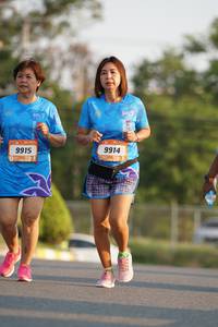 BIB: 9914, 9915
                            <button type="button" onclick="openModal(3216610)" class="btn btn-primary btn-sm float-right btn-popup" data-toggle="modal" data-target=".modal-high-quality">
                        <i class="fas fa-shopping-cart"></i> Add to Cart
                    </button>
                                            <button type="button" onclick="isThisMe(3216610, true)" class="btn btn-success btn-sm float-right btn-popup btn-isme hidden" data-toggle="tooltip" data-placement="bottom" title="นี่คือรูปของคุณใช่ไหม คลิกที่นี่เพื่อเอาเข้าอัลบั้ม">
                        <i class="fas fa-plus"></i> Add to album
                    </button>
                    <button type="button" onclick="isThisMe(3216610, false)" class="btn btn-warning btn-sm float-right btn-popup btn-isnotme hidden">
                        <i class="fas fa-ban"></i> Remove from album
                    </button>