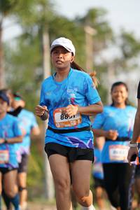 BIB: 
                            <button type="button" onclick="openModal(3215975)" class="btn btn-primary btn-sm float-right btn-popup" data-toggle="modal" data-target=".modal-high-quality">
                        <i class="fas fa-shopping-cart"></i> Add to Cart
                    </button>
                                            <button type="button" onclick="isThisMe(3215975, true)" class="btn btn-success btn-sm float-right btn-popup btn-isme hidden" data-toggle="tooltip" data-placement="bottom" title="นี่คือรูปของคุณใช่ไหม คลิกที่นี่เพื่อเอาเข้าอัลบั้ม">
                        <i class="fas fa-plus"></i> Add to album
                    </button>
                    <button type="button" onclick="isThisMe(3215975, false)" class="btn btn-warning btn-sm float-right btn-popup btn-isnotme hidden">
                        <i class="fas fa-ban"></i> Remove from album
                    </button>