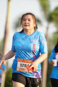 BIB: 
                            <button type="button" onclick="openModal(3216315)" class="btn btn-primary btn-sm float-right btn-popup" data-toggle="modal" data-target=".modal-high-quality">
                        <i class="fas fa-shopping-cart"></i> Add to Cart
                    </button>
                                            <button type="button" onclick="isThisMe(3216315, true)" class="btn btn-success btn-sm float-right btn-popup btn-isme hidden" data-toggle="tooltip" data-placement="bottom" title="นี่คือรูปของคุณใช่ไหม คลิกที่นี่เพื่อเอาเข้าอัลบั้ม">
                        <i class="fas fa-plus"></i> Add to album
                    </button>
                    <button type="button" onclick="isThisMe(3216315, false)" class="btn btn-warning btn-sm float-right btn-popup btn-isnotme hidden">
                        <i class="fas fa-ban"></i> Remove from album
                    </button>