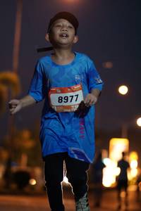 BIB: 8977
                            <button type="button" onclick="openModal(3225558)" class="btn btn-primary btn-sm float-right btn-popup" data-toggle="modal" data-target=".modal-high-quality">
                        <i class="fas fa-shopping-cart"></i> Add to Cart
                    </button>
                                            <button type="button" onclick="isThisMe(3225558, true)" class="btn btn-success btn-sm float-right btn-popup btn-isme hidden" data-toggle="tooltip" data-placement="bottom" title="นี่คือรูปของคุณใช่ไหม คลิกที่นี่เพื่อเอาเข้าอัลบั้ม">
                        <i class="fas fa-plus"></i> Add to album
                    </button>
                    <button type="button" onclick="isThisMe(3225558, false)" class="btn btn-warning btn-sm float-right btn-popup btn-isnotme hidden">
                        <i class="fas fa-ban"></i> Remove from album
                    </button>