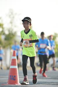 BIB: 
                            <button type="button" onclick="openModal(3402225)" class="btn btn-primary btn-sm float-right btn-popup" data-toggle="modal" data-target=".modal-high-quality">
                        <i class="fas fa-shopping-cart"></i> Add to Cart
                    </button>
                                            <button type="button" onclick="isThisMe(3402225, true)" class="btn btn-success btn-sm float-right btn-popup btn-isme hidden" data-toggle="tooltip" data-placement="bottom" title="นี่คือรูปของคุณใช่ไหม คลิกที่นี่เพื่อเอาเข้าอัลบั้ม">
                        <i class="fas fa-plus"></i> Add to album
                    </button>
                    <button type="button" onclick="isThisMe(3402225, false)" class="btn btn-warning btn-sm float-right btn-popup btn-isnotme hidden">
                        <i class="fas fa-ban"></i> Remove from album
                    </button>