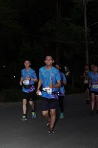 BIB: 
                            <button type="button" onclick="openModal(3167389)" class="btn btn-primary btn-sm float-right btn-popup" data-toggle="modal" data-target=".modal-high-quality">
                        <i class="fas fa-shopping-cart"></i> Add to Cart
                    </button>
                                            <button type="button" onclick="isThisMe(3167389, true)" class="btn btn-success btn-sm float-right btn-popup btn-isme hidden" data-toggle="tooltip" data-placement="bottom" title="นี่คือรูปของคุณใช่ไหม คลิกที่นี่เพื่อเอาเข้าอัลบั้ม">
                        <i class="fas fa-plus"></i> Add to album
                    </button>
                    <button type="button" onclick="isThisMe(3167389, false)" class="btn btn-warning btn-sm float-right btn-popup btn-isnotme hidden">
                        <i class="fas fa-ban"></i> Remove from album
                    </button>