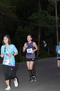 BIB: 
                            <button type="button" onclick="openModal(3166028)" class="btn btn-primary btn-sm float-right btn-popup" data-toggle="modal" data-target=".modal-high-quality">
                        <i class="fas fa-shopping-cart"></i> Add to Cart
                    </button>
                                            <button type="button" onclick="isThisMe(3166028, true)" class="btn btn-success btn-sm float-right btn-popup btn-isme hidden" data-toggle="tooltip" data-placement="bottom" title="นี่คือรูปของคุณใช่ไหม คลิกที่นี่เพื่อเอาเข้าอัลบั้ม">
                        <i class="fas fa-plus"></i> Add to album
                    </button>
                    <button type="button" onclick="isThisMe(3166028, false)" class="btn btn-warning btn-sm float-right btn-popup btn-isnotme hidden">
                        <i class="fas fa-ban"></i> Remove from album
                    </button>