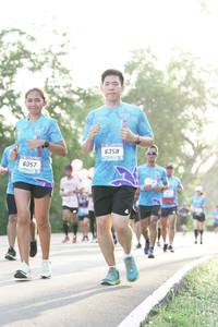 BIB: 6358, 6357
                            <button type="button" onclick="openModal(3143567)" class="btn btn-primary btn-sm float-right btn-popup" data-toggle="modal" data-target=".modal-high-quality">
                        <i class="fas fa-shopping-cart"></i> Add to Cart
                    </button>
                                            <button type="button" onclick="isThisMe(3143567, true)" class="btn btn-success btn-sm float-right btn-popup btn-isme hidden" data-toggle="tooltip" data-placement="bottom" title="นี่คือรูปของคุณใช่ไหม คลิกที่นี่เพื่อเอาเข้าอัลบั้ม">
                        <i class="fas fa-plus"></i> Add to album
                    </button>
                    <button type="button" onclick="isThisMe(3143567, false)" class="btn btn-warning btn-sm float-right btn-popup btn-isnotme hidden">
                        <i class="fas fa-ban"></i> Remove from album
                    </button>