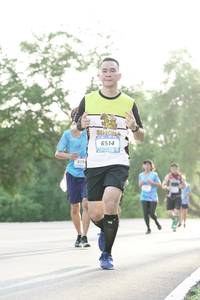 BIB: 6514, 629
                            <button type="button" onclick="openModal(3143422)" class="btn btn-primary btn-sm float-right btn-popup" data-toggle="modal" data-target=".modal-high-quality">
                        <i class="fas fa-shopping-cart"></i> Add to Cart
                    </button>
                                            <button type="button" onclick="isThisMe(3143422, true)" class="btn btn-success btn-sm float-right btn-popup btn-isme hidden" data-toggle="tooltip" data-placement="bottom" title="นี่คือรูปของคุณใช่ไหม คลิกที่นี่เพื่อเอาเข้าอัลบั้ม">
                        <i class="fas fa-plus"></i> Add to album
                    </button>
                    <button type="button" onclick="isThisMe(3143422, false)" class="btn btn-warning btn-sm float-right btn-popup btn-isnotme hidden">
                        <i class="fas fa-ban"></i> Remove from album
                    </button>