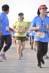 BIB: 8290, 837, 9878
                            <button type="button" onclick="openModal(3241378)" class="btn btn-primary btn-sm float-right btn-popup" data-toggle="modal" data-target=".modal-high-quality">
                        <i class="fas fa-shopping-cart"></i> Add to Cart
                    </button>
                                            <button type="button" onclick="isThisMe(3241378, true)" class="btn btn-success btn-sm float-right btn-popup btn-isme hidden" data-toggle="tooltip" data-placement="bottom" title="นี่คือรูปของคุณใช่ไหม คลิกที่นี่เพื่อเอาเข้าอัลบั้ม">
                        <i class="fas fa-plus"></i> Add to album
                    </button>
                    <button type="button" onclick="isThisMe(3241378, false)" class="btn btn-warning btn-sm float-right btn-popup btn-isnotme hidden">
                        <i class="fas fa-ban"></i> Remove from album
                    </button>