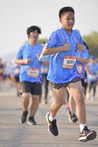 BIB: 9365
                            <button type="button" onclick="openModal(3240819)" class="btn btn-primary btn-sm float-right btn-popup" data-toggle="modal" data-target=".modal-high-quality">
                        <i class="fas fa-shopping-cart"></i> Add to Cart
                    </button>
                                            <button type="button" onclick="isThisMe(3240819, true)" class="btn btn-success btn-sm float-right btn-popup btn-isme hidden" data-toggle="tooltip" data-placement="bottom" title="นี่คือรูปของคุณใช่ไหม คลิกที่นี่เพื่อเอาเข้าอัลบั้ม">
                        <i class="fas fa-plus"></i> Add to album
                    </button>
                    <button type="button" onclick="isThisMe(3240819, false)" class="btn btn-warning btn-sm float-right btn-popup btn-isnotme hidden">
                        <i class="fas fa-ban"></i> Remove from album
                    </button>