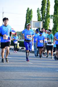 BIB: 
                            <button type="button" onclick="openModal(3153629)" class="btn btn-primary btn-sm float-right btn-popup" data-toggle="modal" data-target=".modal-high-quality">
                        <i class="fas fa-shopping-cart"></i> Add to Cart
                    </button>
                                            <button type="button" onclick="isThisMe(3153629, true)" class="btn btn-success btn-sm float-right btn-popup btn-isme hidden" data-toggle="tooltip" data-placement="bottom" title="นี่คือรูปของคุณใช่ไหม คลิกที่นี่เพื่อเอาเข้าอัลบั้ม">
                        <i class="fas fa-plus"></i> Add to album
                    </button>
                    <button type="button" onclick="isThisMe(3153629, false)" class="btn btn-warning btn-sm float-right btn-popup btn-isnotme hidden">
                        <i class="fas fa-ban"></i> Remove from album
                    </button>