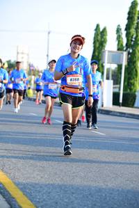 BIB: 8360
                            <button type="button" onclick="openModal(3153471)" class="btn btn-primary btn-sm float-right btn-popup" data-toggle="modal" data-target=".modal-high-quality">
                        <i class="fas fa-shopping-cart"></i> Add to Cart
                    </button>
                                            <button type="button" onclick="isThisMe(3153471, true)" class="btn btn-success btn-sm float-right btn-popup btn-isme hidden" data-toggle="tooltip" data-placement="bottom" title="นี่คือรูปของคุณใช่ไหม คลิกที่นี่เพื่อเอาเข้าอัลบั้ม">
                        <i class="fas fa-plus"></i> Add to album
                    </button>
                    <button type="button" onclick="isThisMe(3153471, false)" class="btn btn-warning btn-sm float-right btn-popup btn-isnotme hidden">
                        <i class="fas fa-ban"></i> Remove from album
                    </button>