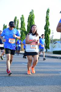 BIB: 9332, 8509
                            <button type="button" onclick="openModal(3152625)" class="btn btn-primary btn-sm float-right btn-popup" data-toggle="modal" data-target=".modal-high-quality">
                        <i class="fas fa-shopping-cart"></i> Add to Cart
                    </button>
                                            <button type="button" onclick="isThisMe(3152625, true)" class="btn btn-success btn-sm float-right btn-popup btn-isme hidden" data-toggle="tooltip" data-placement="bottom" title="นี่คือรูปของคุณใช่ไหม คลิกที่นี่เพื่อเอาเข้าอัลบั้ม">
                        <i class="fas fa-plus"></i> Add to album
                    </button>
                    <button type="button" onclick="isThisMe(3152625, false)" class="btn btn-warning btn-sm float-right btn-popup btn-isnotme hidden">
                        <i class="fas fa-ban"></i> Remove from album
                    </button>