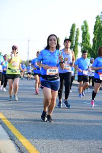 BIB: 9591
                            <button type="button" onclick="openModal(3152899)" class="btn btn-primary btn-sm float-right btn-popup" data-toggle="modal" data-target=".modal-high-quality">
                        <i class="fas fa-shopping-cart"></i> Add to Cart
                    </button>
                                            <button type="button" onclick="isThisMe(3152899, true)" class="btn btn-success btn-sm float-right btn-popup btn-isme hidden" data-toggle="tooltip" data-placement="bottom" title="นี่คือรูปของคุณใช่ไหม คลิกที่นี่เพื่อเอาเข้าอัลบั้ม">
                        <i class="fas fa-plus"></i> Add to album
                    </button>
                    <button type="button" onclick="isThisMe(3152899, false)" class="btn btn-warning btn-sm float-right btn-popup btn-isnotme hidden">
                        <i class="fas fa-ban"></i> Remove from album
                    </button>