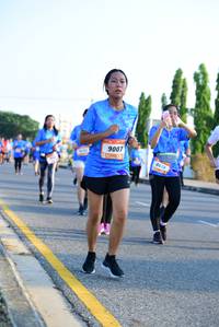 BIB: 9007, 8613
                            <button type="button" onclick="openModal(3154269)" class="btn btn-primary btn-sm float-right btn-popup" data-toggle="modal" data-target=".modal-high-quality">
                        <i class="fas fa-shopping-cart"></i> Add to Cart
                    </button>
                                            <button type="button" onclick="isThisMe(3154269, true)" class="btn btn-success btn-sm float-right btn-popup btn-isme hidden" data-toggle="tooltip" data-placement="bottom" title="นี่คือรูปของคุณใช่ไหม คลิกที่นี่เพื่อเอาเข้าอัลบั้ม">
                        <i class="fas fa-plus"></i> Add to album
                    </button>
                    <button type="button" onclick="isThisMe(3154269, false)" class="btn btn-warning btn-sm float-right btn-popup btn-isnotme hidden">
                        <i class="fas fa-ban"></i> Remove from album
                    </button>