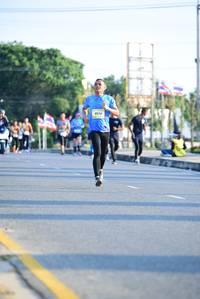 BIB: 
                            <button type="button" onclick="openModal(3149590)" class="btn btn-primary btn-sm float-right btn-popup" data-toggle="modal" data-target=".modal-high-quality">
                        <i class="fas fa-shopping-cart"></i> Add to Cart
                    </button>
                                            <button type="button" onclick="isThisMe(3149590, true)" class="btn btn-success btn-sm float-right btn-popup btn-isme hidden" data-toggle="tooltip" data-placement="bottom" title="นี่คือรูปของคุณใช่ไหม คลิกที่นี่เพื่อเอาเข้าอัลบั้ม">
                        <i class="fas fa-plus"></i> Add to album
                    </button>
                    <button type="button" onclick="isThisMe(3149590, false)" class="btn btn-warning btn-sm float-right btn-popup btn-isnotme hidden">
                        <i class="fas fa-ban"></i> Remove from album
                    </button>