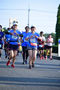 BIB: 6178, 6179
                            <button type="button" onclick="openModal(3143165)" class="btn btn-primary btn-sm float-right btn-popup" data-toggle="modal" data-target=".modal-high-quality">
                        <i class="fas fa-shopping-cart"></i> Add to Cart
                    </button>
                                            <button type="button" onclick="isThisMe(3143165, true)" class="btn btn-success btn-sm float-right btn-popup btn-isme hidden" data-toggle="tooltip" data-placement="bottom" title="นี่คือรูปของคุณใช่ไหม คลิกที่นี่เพื่อเอาเข้าอัลบั้ม">
                        <i class="fas fa-plus"></i> Add to album
                    </button>
                    <button type="button" onclick="isThisMe(3143165, false)" class="btn btn-warning btn-sm float-right btn-popup btn-isnotme hidden">
                        <i class="fas fa-ban"></i> Remove from album
                    </button>