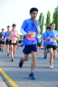 BIB: 8476
                            <button type="button" onclick="openModal(3152567)" class="btn btn-primary btn-sm float-right btn-popup" data-toggle="modal" data-target=".modal-high-quality">
                        <i class="fas fa-shopping-cart"></i> Add to Cart
                    </button>
                                            <button type="button" onclick="isThisMe(3152567, true)" class="btn btn-success btn-sm float-right btn-popup btn-isme hidden" data-toggle="tooltip" data-placement="bottom" title="นี่คือรูปของคุณใช่ไหม คลิกที่นี่เพื่อเอาเข้าอัลบั้ม">
                        <i class="fas fa-plus"></i> Add to album
                    </button>
                    <button type="button" onclick="isThisMe(3152567, false)" class="btn btn-warning btn-sm float-right btn-popup btn-isnotme hidden">
                        <i class="fas fa-ban"></i> Remove from album
                    </button>