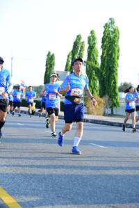 BIB: 8172, 
                            <button type="button" onclick="openModal(3151159)" class="btn btn-primary btn-sm float-right btn-popup" data-toggle="modal" data-target=".modal-high-quality">
                        <i class="fas fa-shopping-cart"></i> Add to Cart
                    </button>
                                            <button type="button" onclick="isThisMe(3151159, true)" class="btn btn-success btn-sm float-right btn-popup btn-isme hidden" data-toggle="tooltip" data-placement="bottom" title="นี่คือรูปของคุณใช่ไหม คลิกที่นี่เพื่อเอาเข้าอัลบั้ม">
                        <i class="fas fa-plus"></i> Add to album
                    </button>
                    <button type="button" onclick="isThisMe(3151159, false)" class="btn btn-warning btn-sm float-right btn-popup btn-isnotme hidden">
                        <i class="fas fa-ban"></i> Remove from album
                    </button>