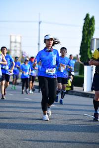 BIB: 
                            <button type="button" onclick="openModal(3143090)" class="btn btn-primary btn-sm float-right btn-popup" data-toggle="modal" data-target=".modal-high-quality">
                        <i class="fas fa-shopping-cart"></i> Add to Cart
                    </button>
                                            <button type="button" onclick="isThisMe(3143090, true)" class="btn btn-success btn-sm float-right btn-popup btn-isme hidden" data-toggle="tooltip" data-placement="bottom" title="นี่คือรูปของคุณใช่ไหม คลิกที่นี่เพื่อเอาเข้าอัลบั้ม">
                        <i class="fas fa-plus"></i> Add to album
                    </button>
                    <button type="button" onclick="isThisMe(3143090, false)" class="btn btn-warning btn-sm float-right btn-popup btn-isnotme hidden">
                        <i class="fas fa-ban"></i> Remove from album
                    </button>