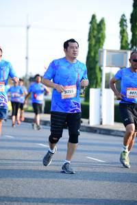 BIB: 355, 807
                            <button type="button" onclick="openModal(3151782)" class="btn btn-primary btn-sm float-right btn-popup" data-toggle="modal" data-target=".modal-high-quality">
                        <i class="fas fa-shopping-cart"></i> Add to Cart
                    </button>
                                            <button type="button" onclick="isThisMe(3151782, true)" class="btn btn-success btn-sm float-right btn-popup btn-isme hidden" data-toggle="tooltip" data-placement="bottom" title="นี่คือรูปของคุณใช่ไหม คลิกที่นี่เพื่อเอาเข้าอัลบั้ม">
                        <i class="fas fa-plus"></i> Add to album
                    </button>
                    <button type="button" onclick="isThisMe(3151782, false)" class="btn btn-warning btn-sm float-right btn-popup btn-isnotme hidden">
                        <i class="fas fa-ban"></i> Remove from album
                    </button>