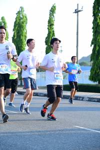 BIB: 6773, 6774
                            <button type="button" onclick="openModal(3151077)" class="btn btn-primary btn-sm float-right btn-popup" data-toggle="modal" data-target=".modal-high-quality">
                        <i class="fas fa-shopping-cart"></i> Add to Cart
                    </button>
                                            <button type="button" onclick="isThisMe(3151077, true)" class="btn btn-success btn-sm float-right btn-popup btn-isme hidden" data-toggle="tooltip" data-placement="bottom" title="นี่คือรูปของคุณใช่ไหม คลิกที่นี่เพื่อเอาเข้าอัลบั้ม">
                        <i class="fas fa-plus"></i> Add to album
                    </button>
                    <button type="button" onclick="isThisMe(3151077, false)" class="btn btn-warning btn-sm float-right btn-popup btn-isnotme hidden">
                        <i class="fas fa-ban"></i> Remove from album
                    </button>