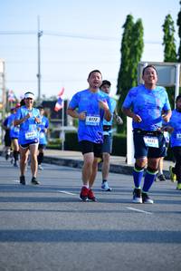 BIB: 6172, 173
                            <button type="button" onclick="openModal(3142312)" class="btn btn-primary btn-sm float-right btn-popup" data-toggle="modal" data-target=".modal-high-quality">
                        <i class="fas fa-shopping-cart"></i> Add to Cart
                    </button>
                                            <button type="button" onclick="isThisMe(3142312, true)" class="btn btn-success btn-sm float-right btn-popup btn-isme hidden" data-toggle="tooltip" data-placement="bottom" title="นี่คือรูปของคุณใช่ไหม คลิกที่นี่เพื่อเอาเข้าอัลบั้ม">
                        <i class="fas fa-plus"></i> Add to album
                    </button>
                    <button type="button" onclick="isThisMe(3142312, false)" class="btn btn-warning btn-sm float-right btn-popup btn-isnotme hidden">
                        <i class="fas fa-ban"></i> Remove from album
                    </button>