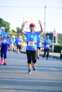 BIB: 9031
                            <button type="button" onclick="openModal(3151695)" class="btn btn-primary btn-sm float-right btn-popup" data-toggle="modal" data-target=".modal-high-quality">
                        <i class="fas fa-shopping-cart"></i> Add to Cart
                    </button>
                                            <button type="button" onclick="isThisMe(3151695, true)" class="btn btn-success btn-sm float-right btn-popup btn-isme hidden" data-toggle="tooltip" data-placement="bottom" title="นี่คือรูปของคุณใช่ไหม คลิกที่นี่เพื่อเอาเข้าอัลบั้ม">
                        <i class="fas fa-plus"></i> Add to album
                    </button>
                    <button type="button" onclick="isThisMe(3151695, false)" class="btn btn-warning btn-sm float-right btn-popup btn-isnotme hidden">
                        <i class="fas fa-ban"></i> Remove from album
                    </button>