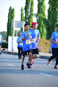 BIB: 9473, 499
                            <button type="button" onclick="openModal(3150225)" class="btn btn-primary btn-sm float-right btn-popup" data-toggle="modal" data-target=".modal-high-quality">
                        <i class="fas fa-shopping-cart"></i> Add to Cart
                    </button>
                                            <button type="button" onclick="isThisMe(3150225, true)" class="btn btn-success btn-sm float-right btn-popup btn-isme hidden" data-toggle="tooltip" data-placement="bottom" title="นี่คือรูปของคุณใช่ไหม คลิกที่นี่เพื่อเอาเข้าอัลบั้ม">
                        <i class="fas fa-plus"></i> Add to album
                    </button>
                    <button type="button" onclick="isThisMe(3150225, false)" class="btn btn-warning btn-sm float-right btn-popup btn-isnotme hidden">
                        <i class="fas fa-ban"></i> Remove from album
                    </button>