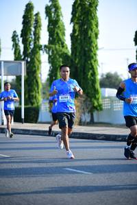 BIB: 6399
                            <button type="button" onclick="openModal(3141375)" class="btn btn-primary btn-sm float-right btn-popup" data-toggle="modal" data-target=".modal-high-quality">
                        <i class="fas fa-shopping-cart"></i> Add to Cart
                    </button>
                                            <button type="button" onclick="isThisMe(3141375, true)" class="btn btn-success btn-sm float-right btn-popup btn-isme hidden" data-toggle="tooltip" data-placement="bottom" title="นี่คือรูปของคุณใช่ไหม คลิกที่นี่เพื่อเอาเข้าอัลบั้ม">
                        <i class="fas fa-plus"></i> Add to album
                    </button>
                    <button type="button" onclick="isThisMe(3141375, false)" class="btn btn-warning btn-sm float-right btn-popup btn-isnotme hidden">
                        <i class="fas fa-ban"></i> Remove from album
                    </button>