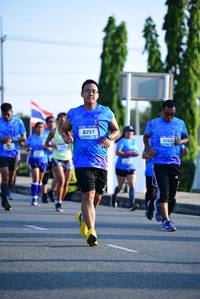 BIB: 6257, 626
                            <button type="button" onclick="openModal(3142802)" class="btn btn-primary btn-sm float-right btn-popup" data-toggle="modal" data-target=".modal-high-quality">
                        <i class="fas fa-shopping-cart"></i> Add to Cart
                    </button>
                                            <button type="button" onclick="isThisMe(3142802, true)" class="btn btn-success btn-sm float-right btn-popup btn-isme hidden" data-toggle="tooltip" data-placement="bottom" title="นี่คือรูปของคุณใช่ไหม คลิกที่นี่เพื่อเอาเข้าอัลบั้ม">
                        <i class="fas fa-plus"></i> Add to album
                    </button>
                    <button type="button" onclick="isThisMe(3142802, false)" class="btn btn-warning btn-sm float-right btn-popup btn-isnotme hidden">
                        <i class="fas fa-ban"></i> Remove from album
                    </button>