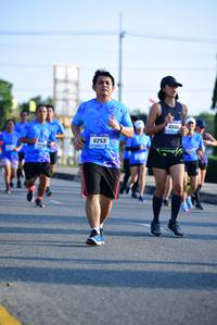 BIB: 6086, 6253, 
                            <button type="button" onclick="openModal(3142665)" class="btn btn-primary btn-sm float-right btn-popup" data-toggle="modal" data-target=".modal-high-quality">
                        <i class="fas fa-shopping-cart"></i> Add to Cart
                    </button>
                                            <button type="button" onclick="isThisMe(3142665, true)" class="btn btn-success btn-sm float-right btn-popup btn-isme hidden" data-toggle="tooltip" data-placement="bottom" title="นี่คือรูปของคุณใช่ไหม คลิกที่นี่เพื่อเอาเข้าอัลบั้ม">
                        <i class="fas fa-plus"></i> Add to album
                    </button>
                    <button type="button" onclick="isThisMe(3142665, false)" class="btn btn-warning btn-sm float-right btn-popup btn-isnotme hidden">
                        <i class="fas fa-ban"></i> Remove from album
                    </button>