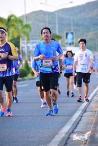 BIB: 8387, 246
                            <button type="button" onclick="openModal(3160323)" class="btn btn-primary btn-sm float-right btn-popup" data-toggle="modal" data-target=".modal-high-quality">
                        <i class="fas fa-shopping-cart"></i> Add to Cart
                    </button>
                                            <button type="button" onclick="isThisMe(3160323, true)" class="btn btn-success btn-sm float-right btn-popup btn-isme hidden" data-toggle="tooltip" data-placement="bottom" title="นี่คือรูปของคุณใช่ไหม คลิกที่นี่เพื่อเอาเข้าอัลบั้ม">
                        <i class="fas fa-plus"></i> Add to album
                    </button>
                    <button type="button" onclick="isThisMe(3160323, false)" class="btn btn-warning btn-sm float-right btn-popup btn-isnotme hidden">
                        <i class="fas fa-ban"></i> Remove from album
                    </button>