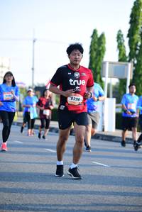 BIB: 396
                            <button type="button" onclick="openModal(3154272)" class="btn btn-primary btn-sm float-right btn-popup" data-toggle="modal" data-target=".modal-high-quality">
                        <i class="fas fa-shopping-cart"></i> Add to Cart
                    </button>
                                            <button type="button" onclick="isThisMe(3154272, true)" class="btn btn-success btn-sm float-right btn-popup btn-isme hidden" data-toggle="tooltip" data-placement="bottom" title="นี่คือรูปของคุณใช่ไหม คลิกที่นี่เพื่อเอาเข้าอัลบั้ม">
                        <i class="fas fa-plus"></i> Add to album
                    </button>
                    <button type="button" onclick="isThisMe(3154272, false)" class="btn btn-warning btn-sm float-right btn-popup btn-isnotme hidden">
                        <i class="fas fa-ban"></i> Remove from album
                    </button>