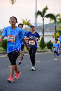 BIB: 8383, 8696
                            <button type="button" onclick="openModal(3194390)" class="btn btn-primary btn-sm float-right btn-popup" data-toggle="modal" data-target=".modal-high-quality">
                        <i class="fas fa-shopping-cart"></i> Add to Cart
                    </button>
                                            <button type="button" onclick="isThisMe(3194390, true)" class="btn btn-success btn-sm float-right btn-popup btn-isme hidden" data-toggle="tooltip" data-placement="bottom" title="นี่คือรูปของคุณใช่ไหม คลิกที่นี่เพื่อเอาเข้าอัลบั้ม">
                        <i class="fas fa-plus"></i> Add to album
                    </button>
                    <button type="button" onclick="isThisMe(3194390, false)" class="btn btn-warning btn-sm float-right btn-popup btn-isnotme hidden">
                        <i class="fas fa-ban"></i> Remove from album
                    </button>