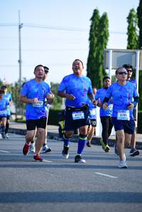 BIB: 172, 878
                            <button type="button" onclick="openModal(3142303)" class="btn btn-primary btn-sm float-right btn-popup" data-toggle="modal" data-target=".modal-high-quality">
                        <i class="fas fa-shopping-cart"></i> Add to Cart
                    </button>
                                            <button type="button" onclick="isThisMe(3142303, true)" class="btn btn-success btn-sm float-right btn-popup btn-isme hidden" data-toggle="tooltip" data-placement="bottom" title="นี่คือรูปของคุณใช่ไหม คลิกที่นี่เพื่อเอาเข้าอัลบั้ม">
                        <i class="fas fa-plus"></i> Add to album
                    </button>
                    <button type="button" onclick="isThisMe(3142303, false)" class="btn btn-warning btn-sm float-right btn-popup btn-isnotme hidden">
                        <i class="fas fa-ban"></i> Remove from album
                    </button>