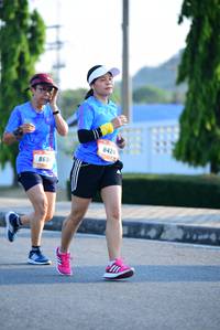 BIB: 8424, 860
                            <button type="button" onclick="openModal(3149805)" class="btn btn-primary btn-sm float-right btn-popup" data-toggle="modal" data-target=".modal-high-quality">
                        <i class="fas fa-shopping-cart"></i> Add to Cart
                    </button>
                                            <button type="button" onclick="isThisMe(3149805, true)" class="btn btn-success btn-sm float-right btn-popup btn-isme hidden" data-toggle="tooltip" data-placement="bottom" title="นี่คือรูปของคุณใช่ไหม คลิกที่นี่เพื่อเอาเข้าอัลบั้ม">
                        <i class="fas fa-plus"></i> Add to album
                    </button>
                    <button type="button" onclick="isThisMe(3149805, false)" class="btn btn-warning btn-sm float-right btn-popup btn-isnotme hidden">
                        <i class="fas fa-ban"></i> Remove from album
                    </button>