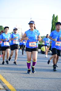 BIB: 926, 8868, 9590
                            <button type="button" onclick="openModal(3151861)" class="btn btn-primary btn-sm float-right btn-popup" data-toggle="modal" data-target=".modal-high-quality">
                        <i class="fas fa-shopping-cart"></i> Add to Cart
                    </button>
                                            <button type="button" onclick="isThisMe(3151861, true)" class="btn btn-success btn-sm float-right btn-popup btn-isme hidden" data-toggle="tooltip" data-placement="bottom" title="นี่คือรูปของคุณใช่ไหม คลิกที่นี่เพื่อเอาเข้าอัลบั้ม">
                        <i class="fas fa-plus"></i> Add to album
                    </button>
                    <button type="button" onclick="isThisMe(3151861, false)" class="btn btn-warning btn-sm float-right btn-popup btn-isnotme hidden">
                        <i class="fas fa-ban"></i> Remove from album
                    </button>